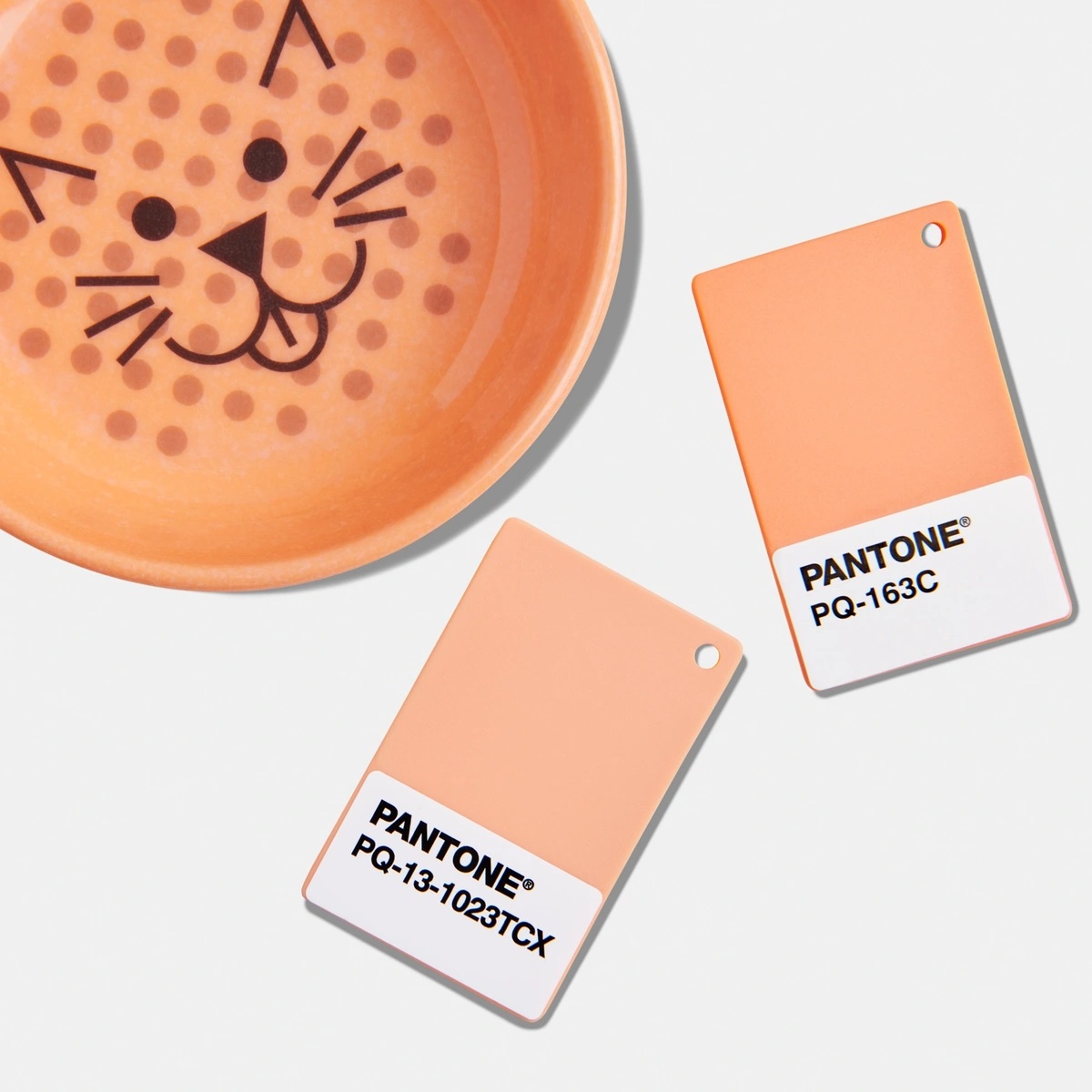 pantone-11-02-23-plastic-chip-2.jpg pantone-11-02-23-plastic-chip-2.jpg