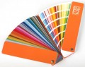 RAL E2 (490 Color)